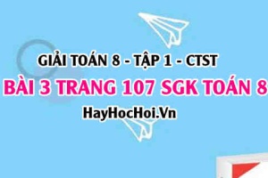 Giải bài 3 trang 107 Toán 8 Tập 1 SGK Chân trời sáng tạo